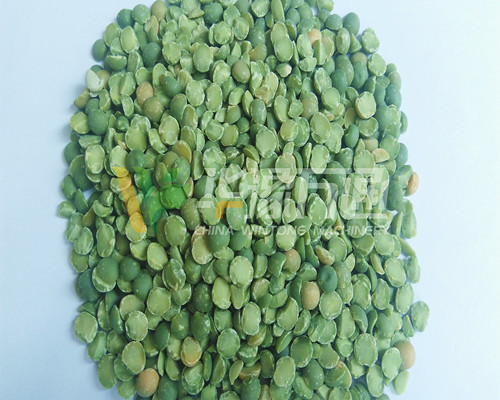 <a href=http://www.378492.com/product/8/ target=_blank class=infotextkey>豌豆脫皮機(jī)</a>